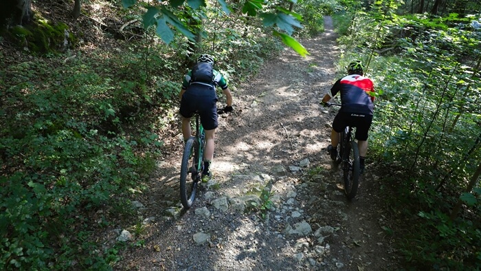 Inclines Panorama Forest paths Cycling Stones