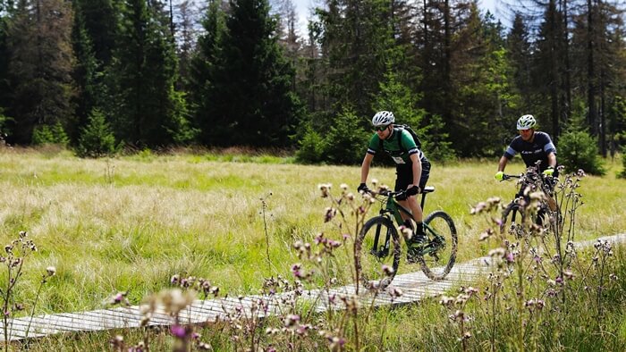 Forests Valleys Singletracks Harz Experience