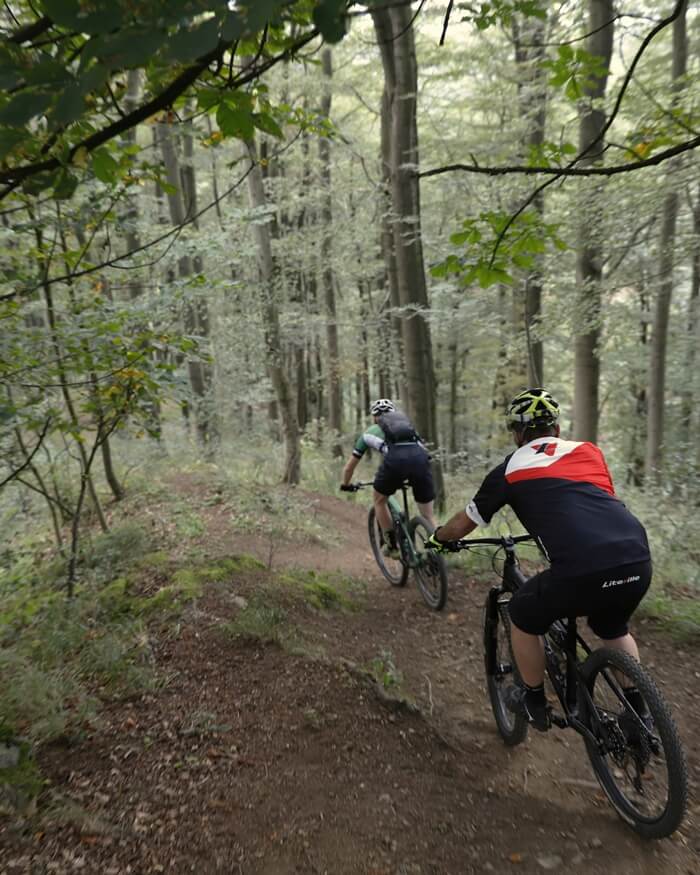 Action Bikepark Downhill Singletrail Harz Wald