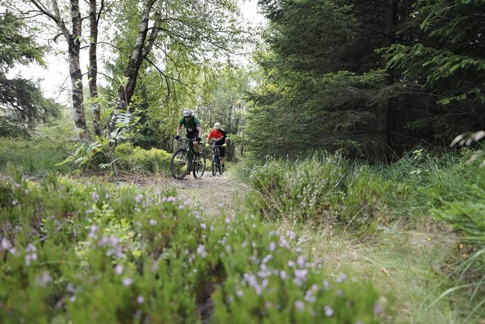 E Bike Climb Altitude Brocken Harz National Park Circumnavigation