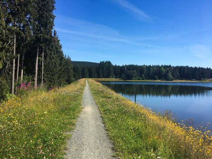 Kiefhoelzer Teich Clausthal Harz