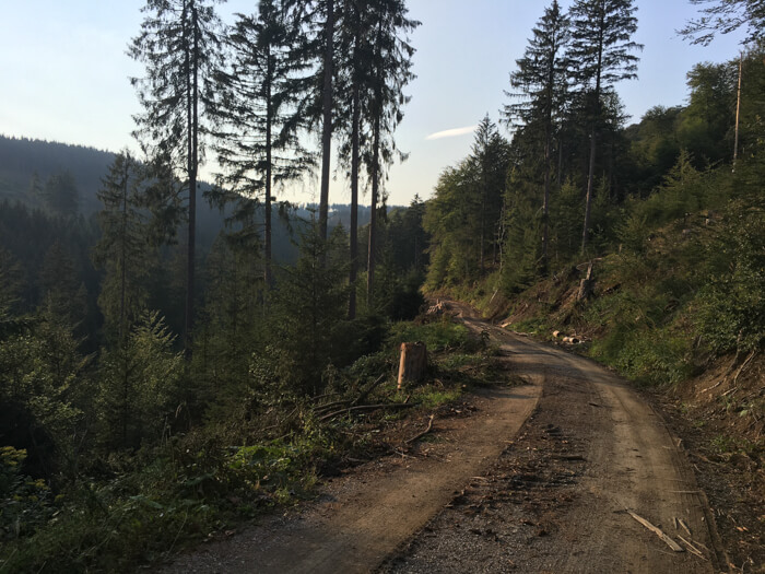 Waldweg Clausthal Harz Mountainbike