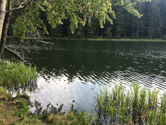 kuttelbacher pond hahnenklee harz