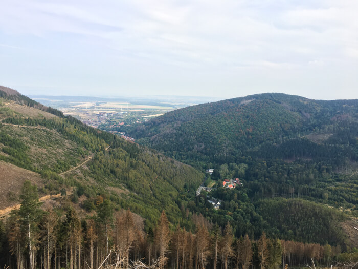 oker okertal view harz forest