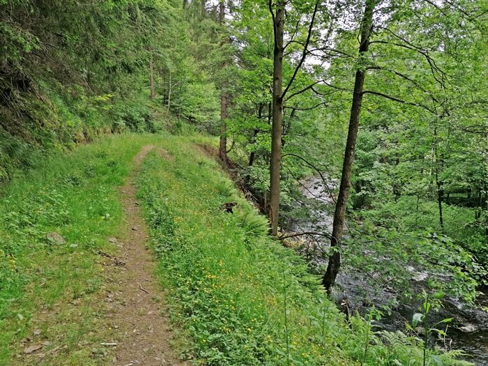 trail siebertal mountain bike harz tour