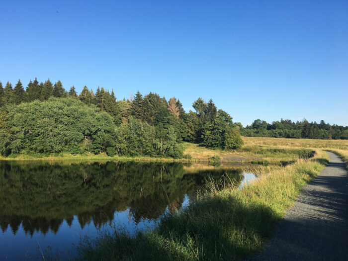 dam clausthal eschenbacher dæmning