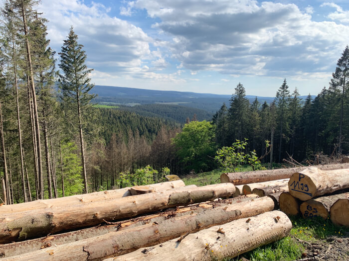 mtb visning tour harz skov ferie