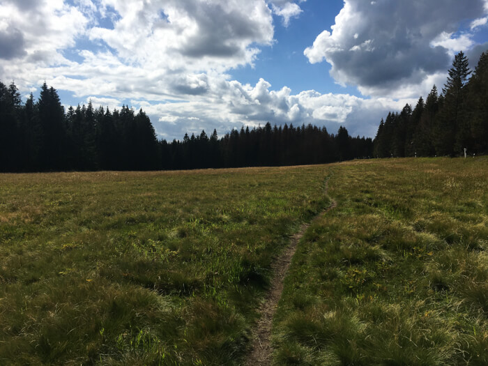 enkelt spor sonnenberg trail harzen
