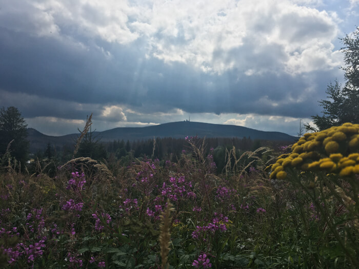 urlaub brocken  harz mountainbike sommer   