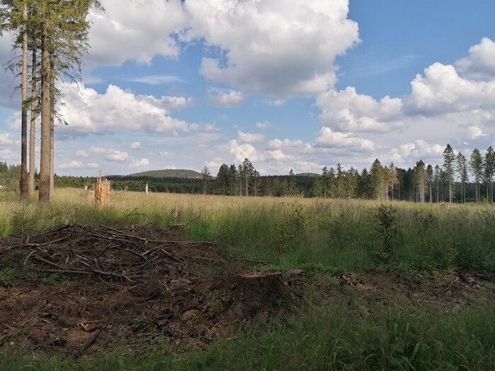 braunlage rolandoway harz bad sachsa