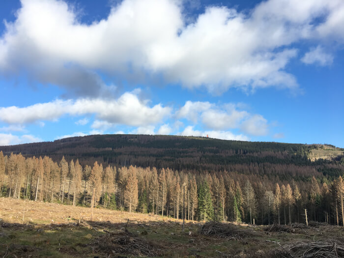 braunlage wurmberg harz national park view