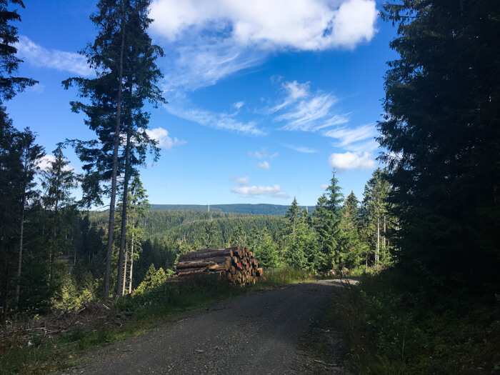 schulenberg harz view tour mountain bike