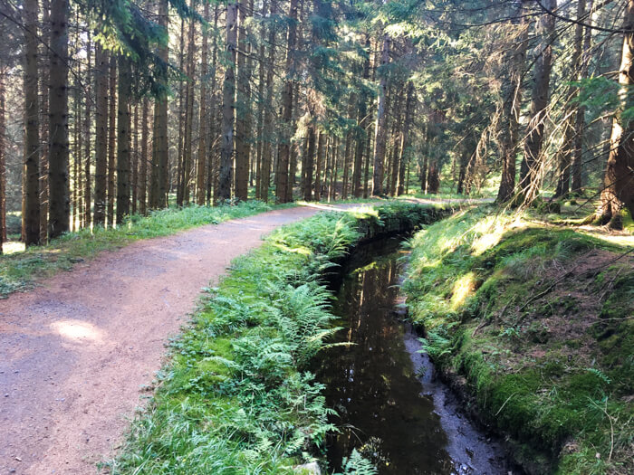 trails altenau  clausthal grabenweg singletrail   