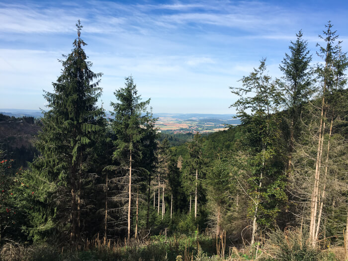 muenchehof harz udsigt mountainbike