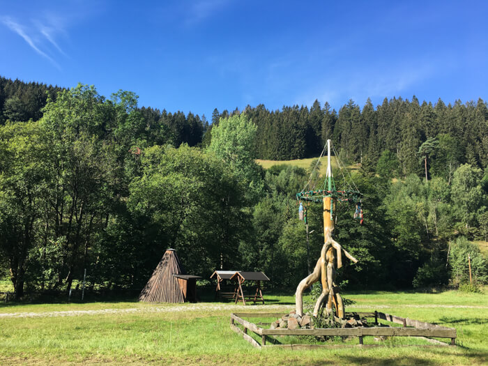 mountainbike wildemann harz