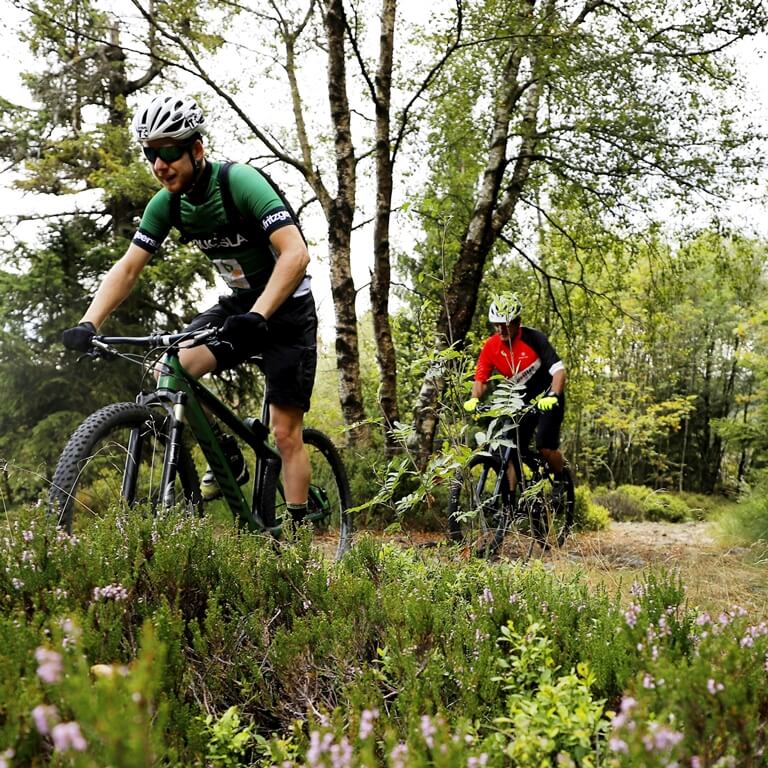 Oberharz Mountainbike Trail Tour Harzen