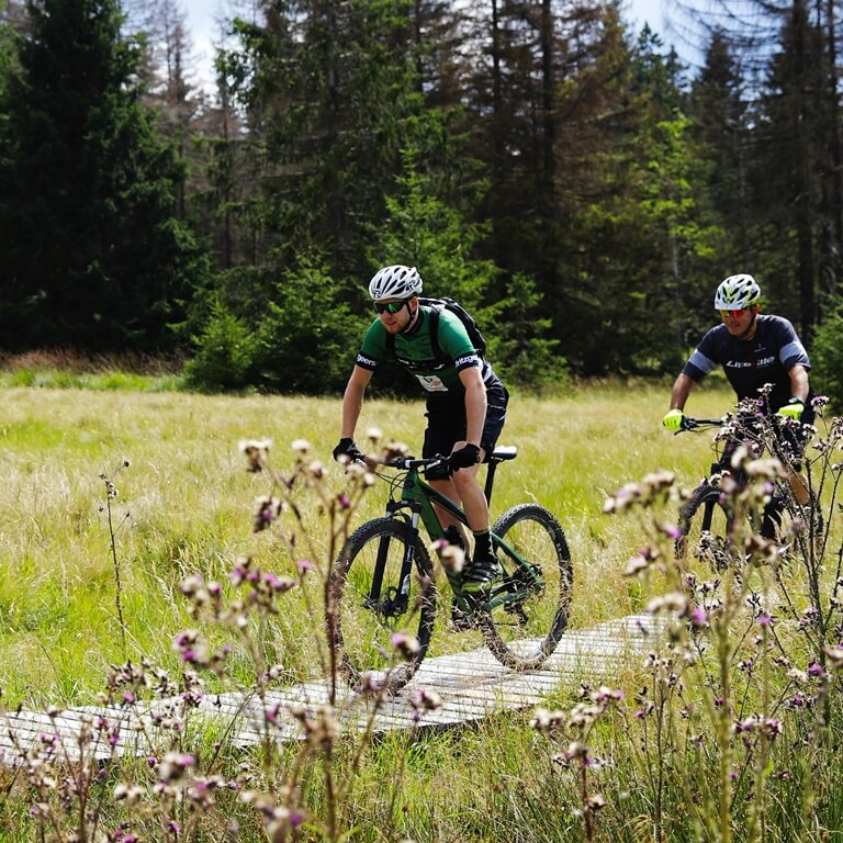 Mountainbike Braunlage Bikepark