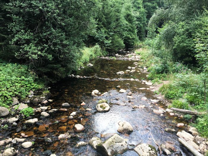 wasser bach  oder braunlage harz   