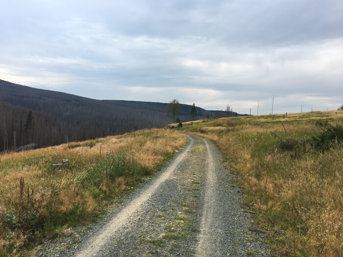 weg braunlage  oderteich  fahrradweg   