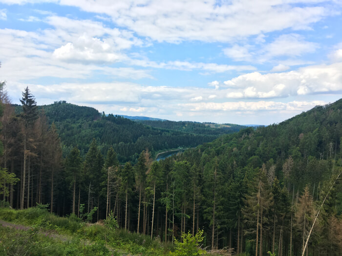 see aussicht  granetalsperre berge wald   