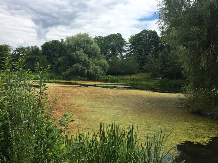 city goslar  teich harz tourismus   