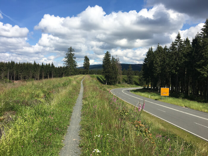 radweg dammhaus  damm harz mountainbike   