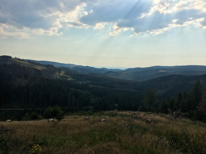 bjerge harz udsigt ifenweg mountainbike