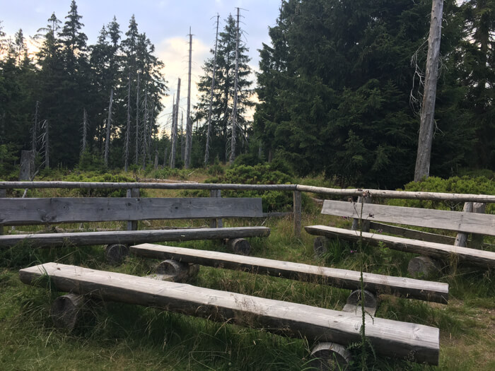 ferie torfhaus harz