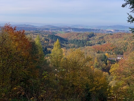MTB Wildemann Harz Route