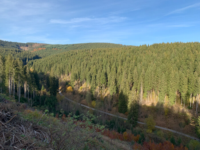 tal schalke berge schulenberg wald herbst mtb  