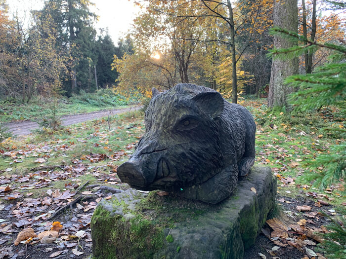 wildschwein schweinebraten mtb wildemann kunst holz   