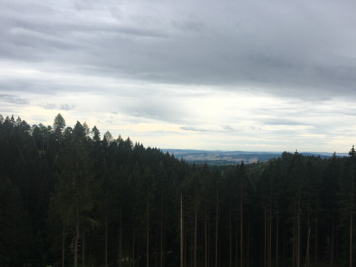 forest panorama harz vacation